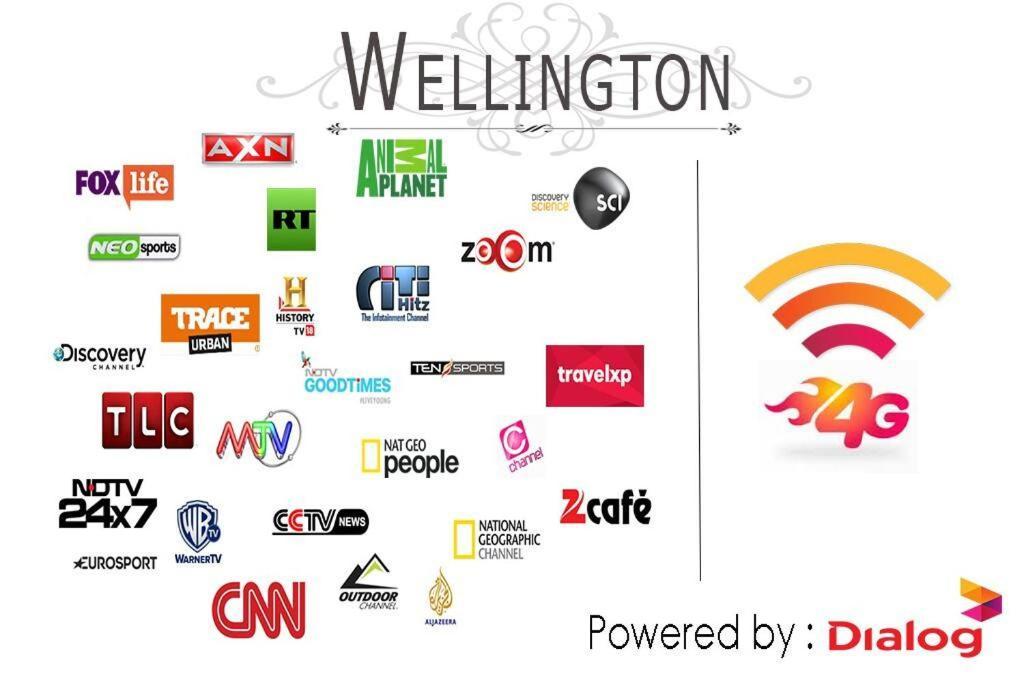 Вилла Wellington Хиккадува Экстерьер фото